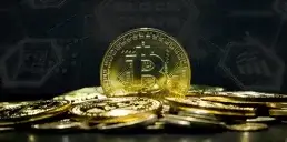 Біткоїн здатен поглинути ринок держоблігацій США — CEO Bitwise