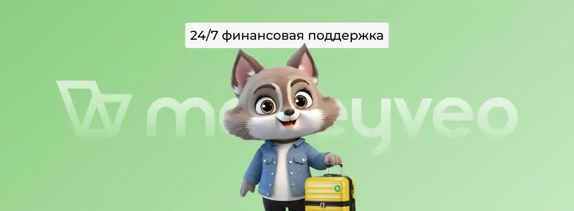 Moneyveo — круглосуточная финансовая помощь онлайн
