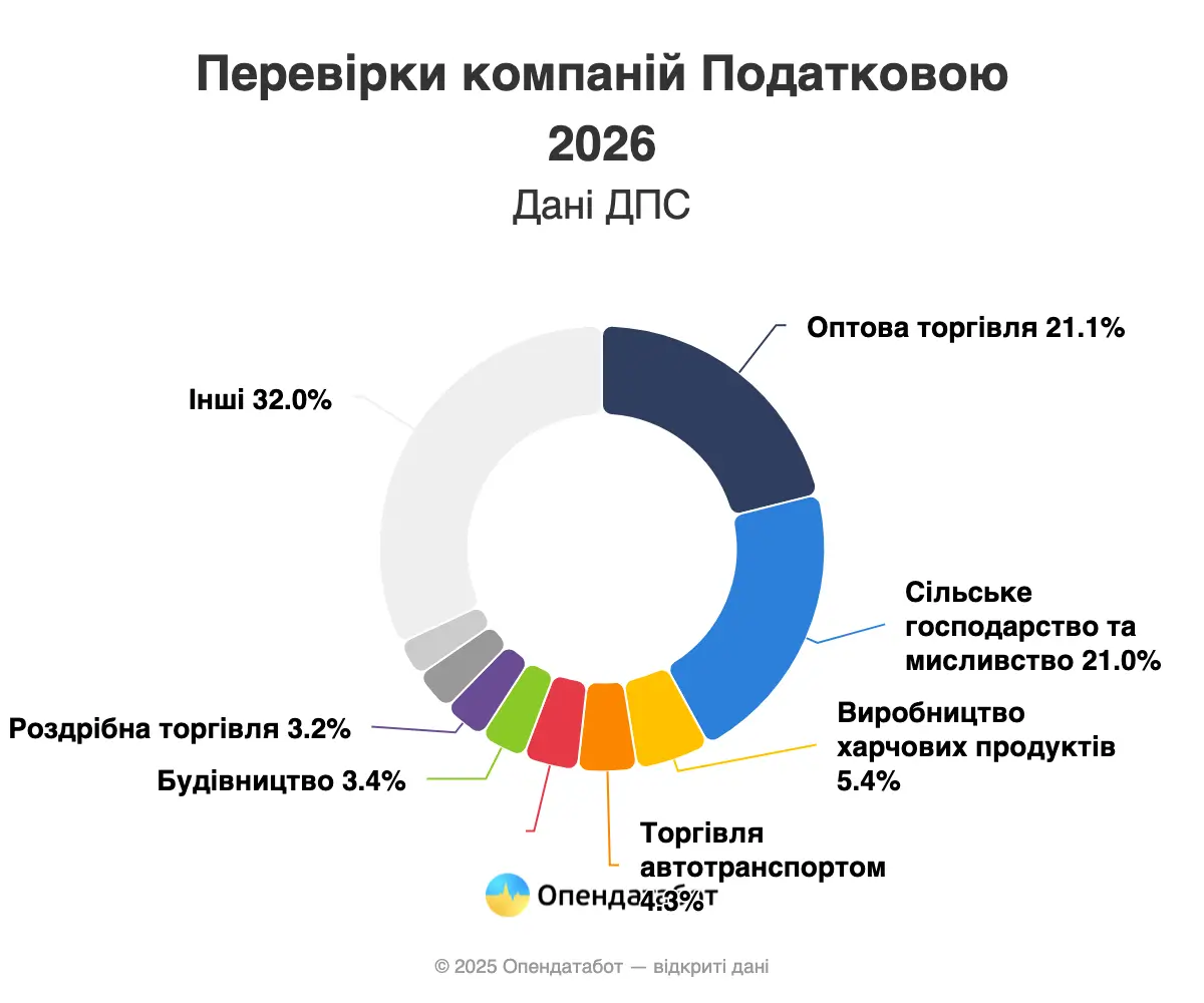 Кому та коли чекати на перевірку від податкової у 2026 році