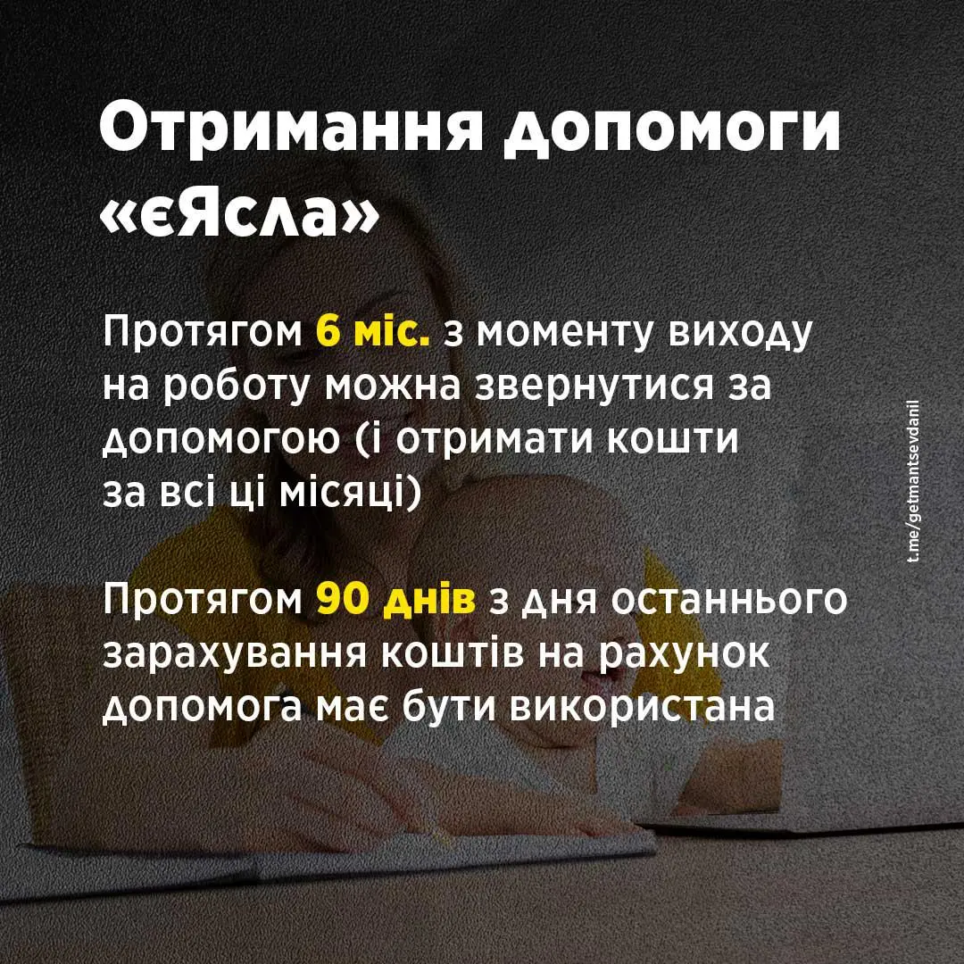 На що можна витратити гроші за програмою єЯсла — Гетманцев