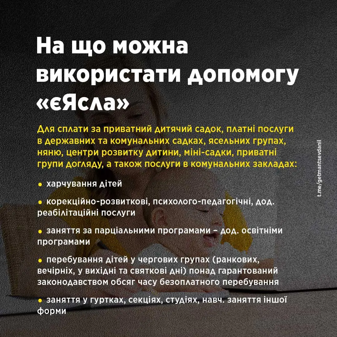 На що можна витратити гроші за програмою єЯсла — Гетманцев