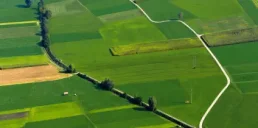 Скільки коштує земля в Україні — дослідження Опендатабот