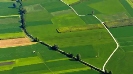 Скільки коштує земля в Україні — дослідження Опендатабот