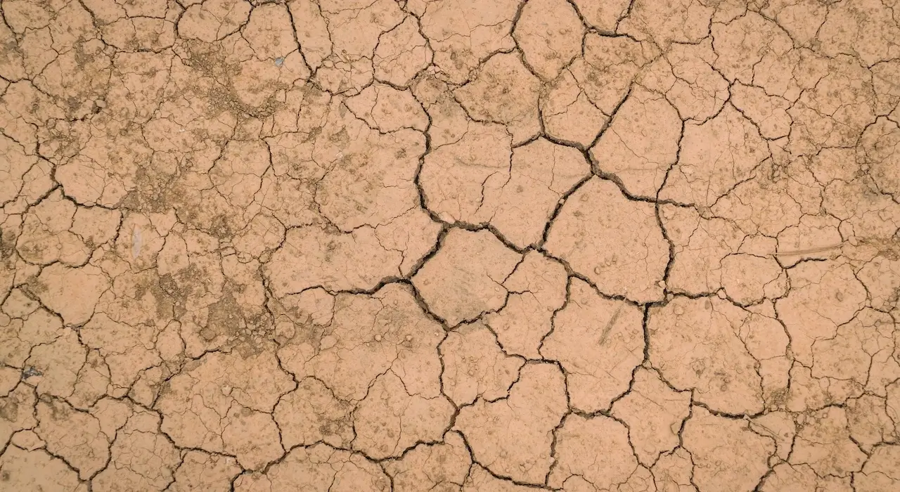 Супер Ель-Ніньйо може повторитися: людству загрожують посухи й голод