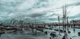 Деякі міста планети можуть раптово піти під воду — учені