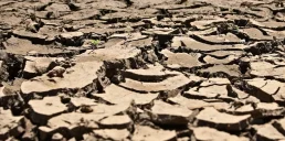 Світові загрожує катастрофічна посуха — учені
