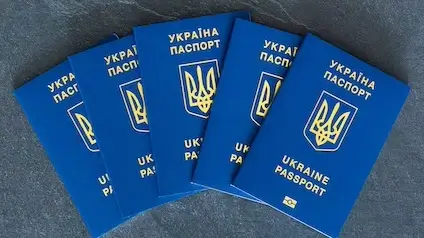 ДПС і прикордонники автоматизували обмін даними: що це значить